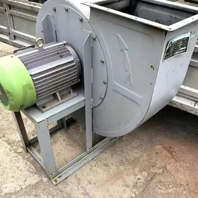 ulitka howalandyryjy