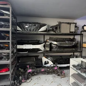 Elantra 21-24 Toyota lexus kia