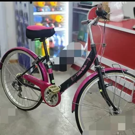 welik 20lik gok renkde yitdi