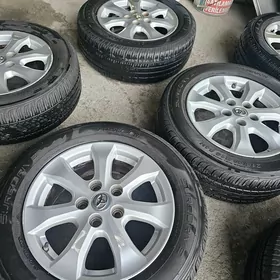 Okuzkelle le 16lyk disga morda