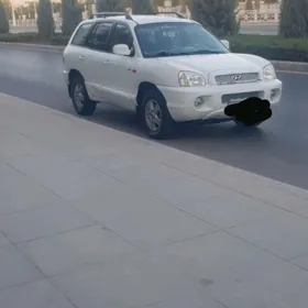 Hyundai Santa Fe 2003