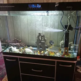 аквариум заводской