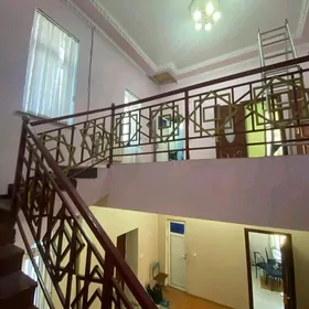 Arenda coganly kotez