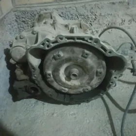 carina karobka zapjas ucin