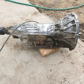 марк 2.5 каропка