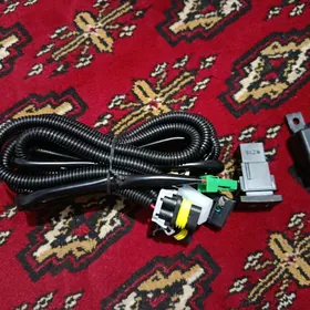 Tumanka tok symy Camry