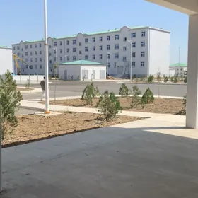 Elitka Erkin Gurlushuk h/k