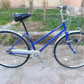 BRIJISTON 3 skorly velik