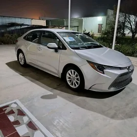 Toyota Corolla 2020