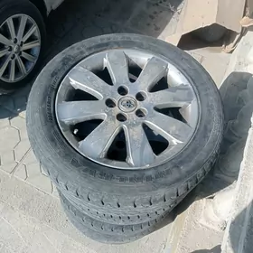 17lik diska pakryska