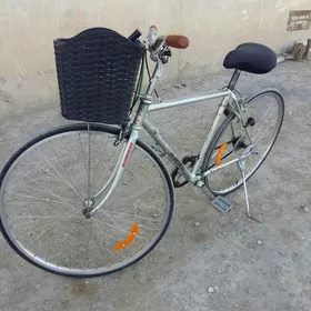 welsapet yaponiski 28 lik