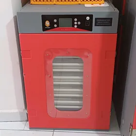 İnkubator Инкубатор