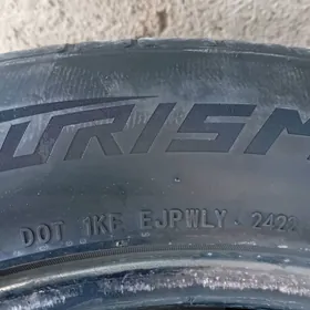 teker pagriska haýlandr 19