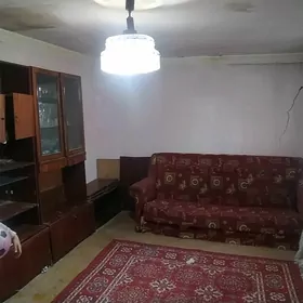 arassa semeyny adam gerek