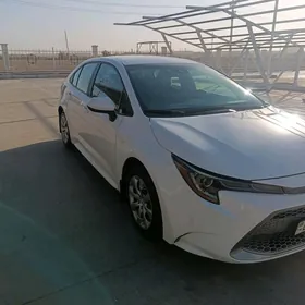 Toyota Corolla 2020
