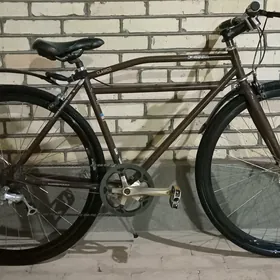 tigir Amerikanka welisopet