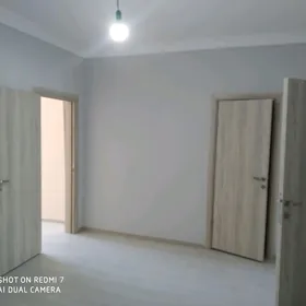 полуэлитка