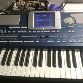 Korg pa 800
