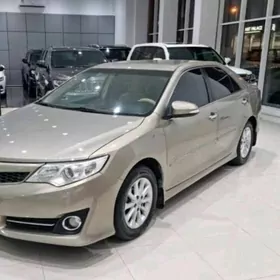 Palta fara gapak kryşga