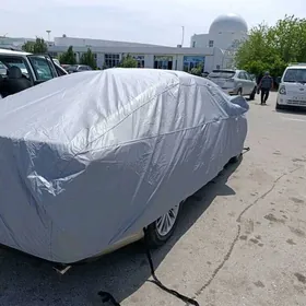 Cehol dasyna yapynja