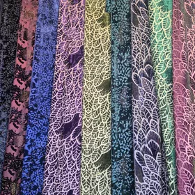 Italÿan dubay pombahlar