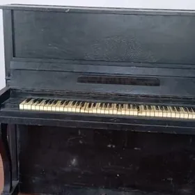 pianina пианино