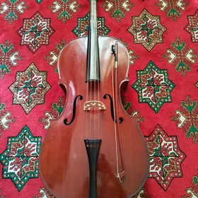 Wiolonçel 4/4 saz guraly
