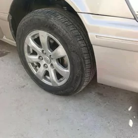 babicka dıska 15 lik