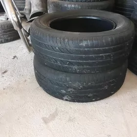 215.60.16~205.60.16.Pakryşga