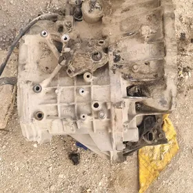 Tayota carina karopka