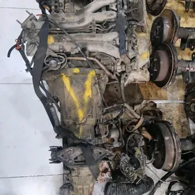 Previa mordo mator karopko