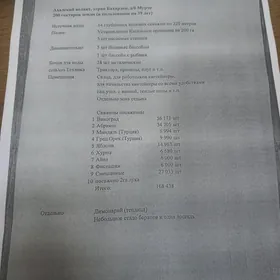 Satlyk Taýyn Business