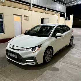 Toyota Corolla 2022