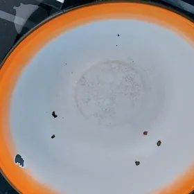 ,skvorotka,jam  ve s,m