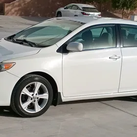 Toyota Corolla 2013