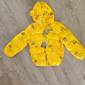 Куртки и безрукавка