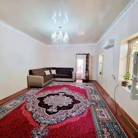 Şaher ici howly jay