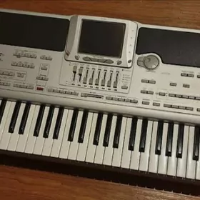 Korg  x 1
