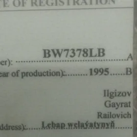 nimer yitdi BW 73 78 Lb