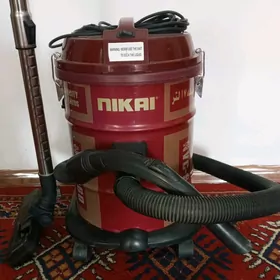 plesos pilesos плесос