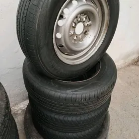 13 lik kampylekit teker