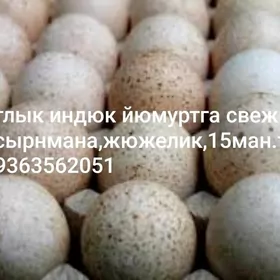 индюк йумургасы