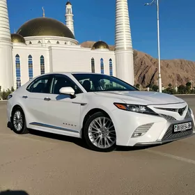 Toyota Camry 2020