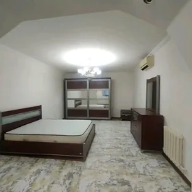  Arenda jay ànew Patentli