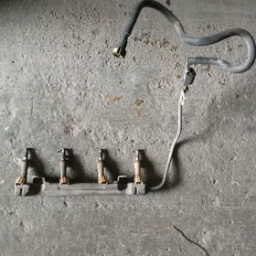 Corolla 2012 Farsunka morda