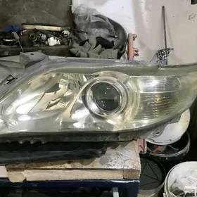 Okuz kelle toyota camry