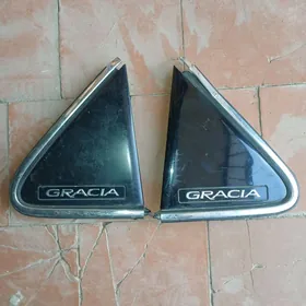 Grasiya ýazgy babycka