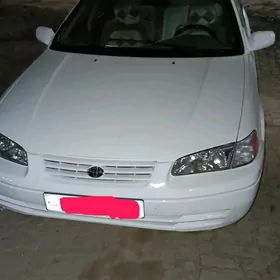 Toyota Camry 1999