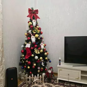 rus dili öwredyan gerek