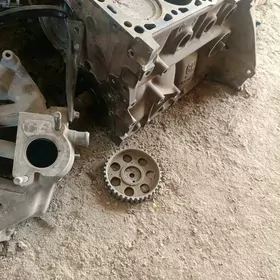 матор голый